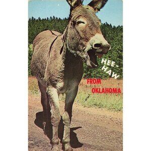 Postcard Hee-Haw From Oklahoma! Vintage Chrome Unposted 1939-1970s